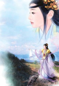 女总裁的房中客