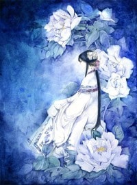 清风天师南行记